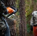 CLB 24 Chainsaw Course