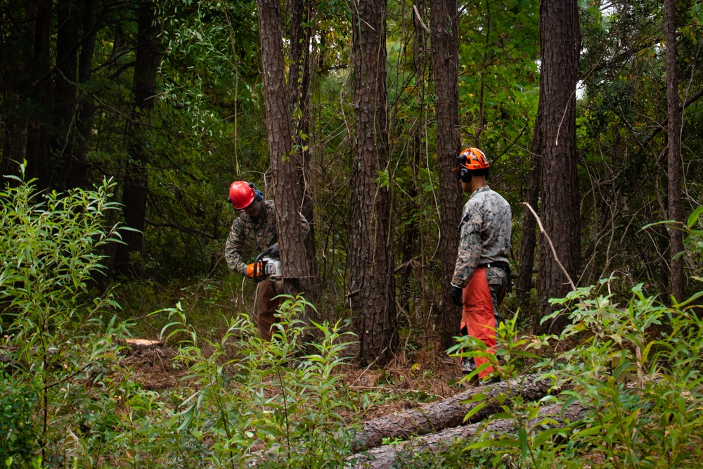 CLB 24 Chainsaw Course