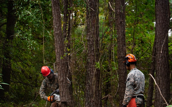 CLB 24 Chainsaw Course