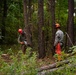 CLB 24 Chainsaw Course