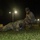 U.S. Army Best Squad Competition Expert Physical Fitness Assessment