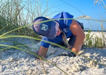 Sea turtles set strides at end of nesting season