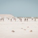 26th MEU(SOC) and Royal Bahrain Marine Force Marksmanship Range