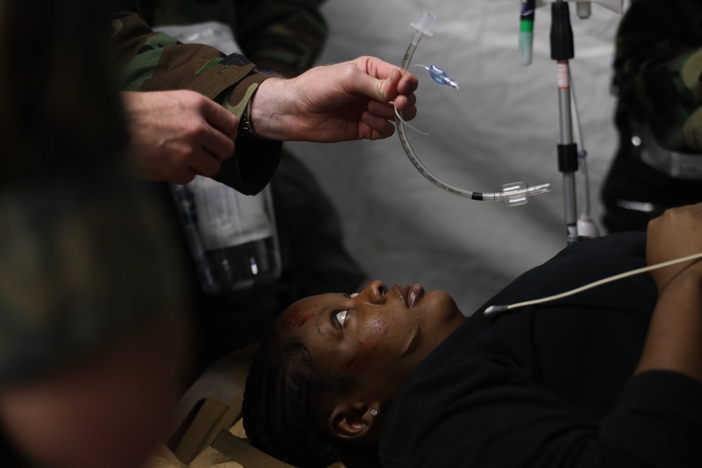 U.S. Navy Sailors Conduct a Mass Casualty Evacuation