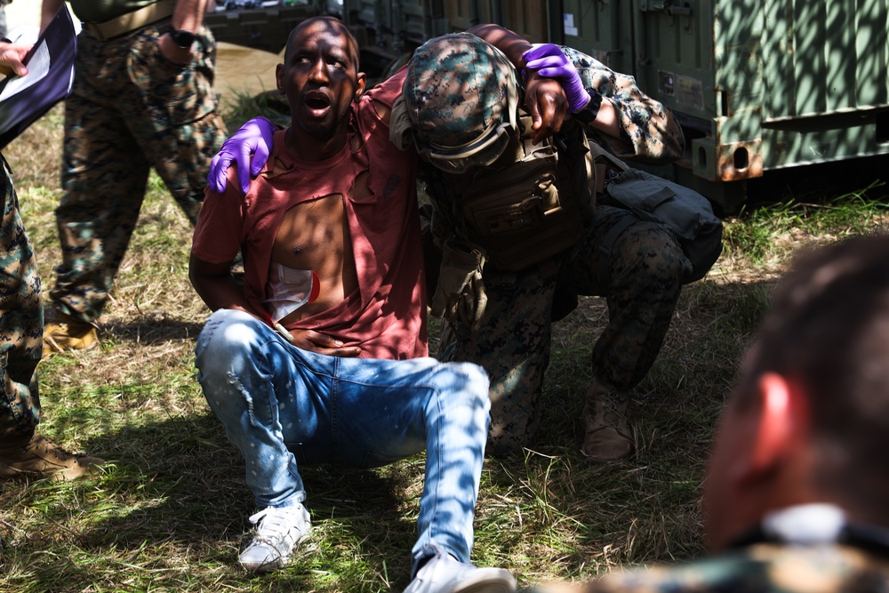 U.S. Navy Sailors Conduct a Mass Casualty Evacuation