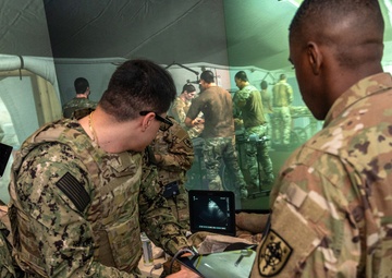 Military medical students learn ultrasound techniques in virtual environment