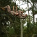 Hotel Company Confidence Course