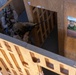 Exercise Tartan Eagle 23: Close Quarters Battles