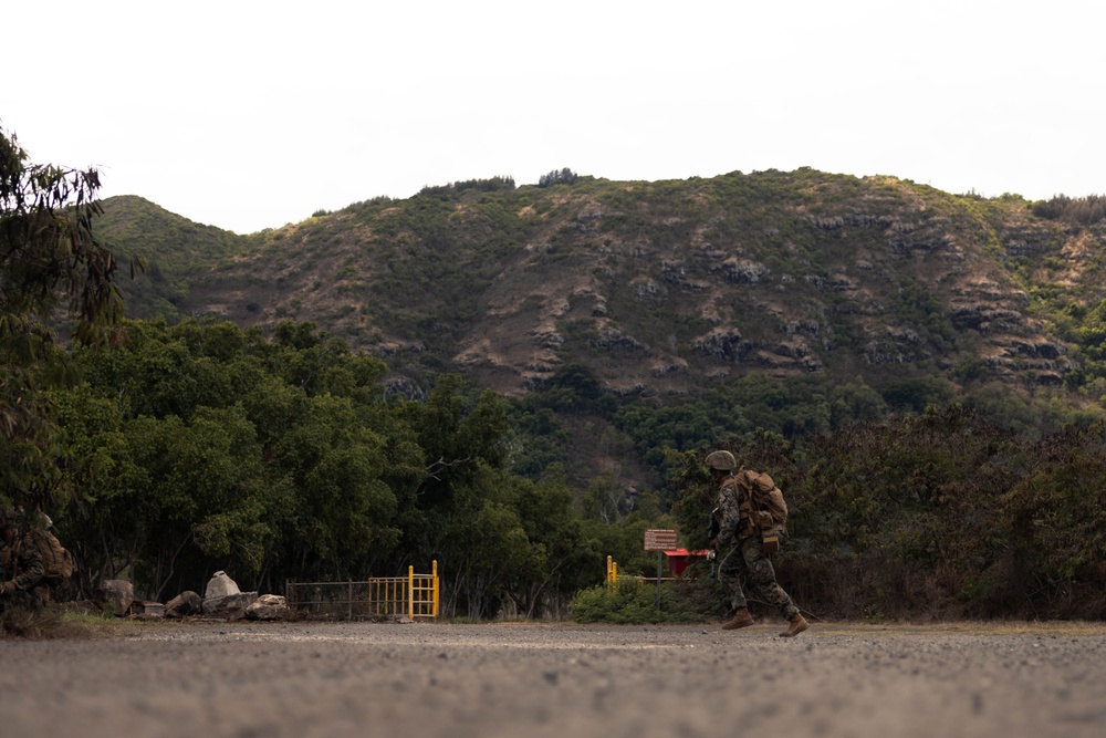 3d LCT conducts Air Assault during FDIE