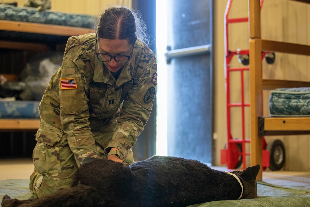 2023 MRC West Best Medic Competition: Day Two