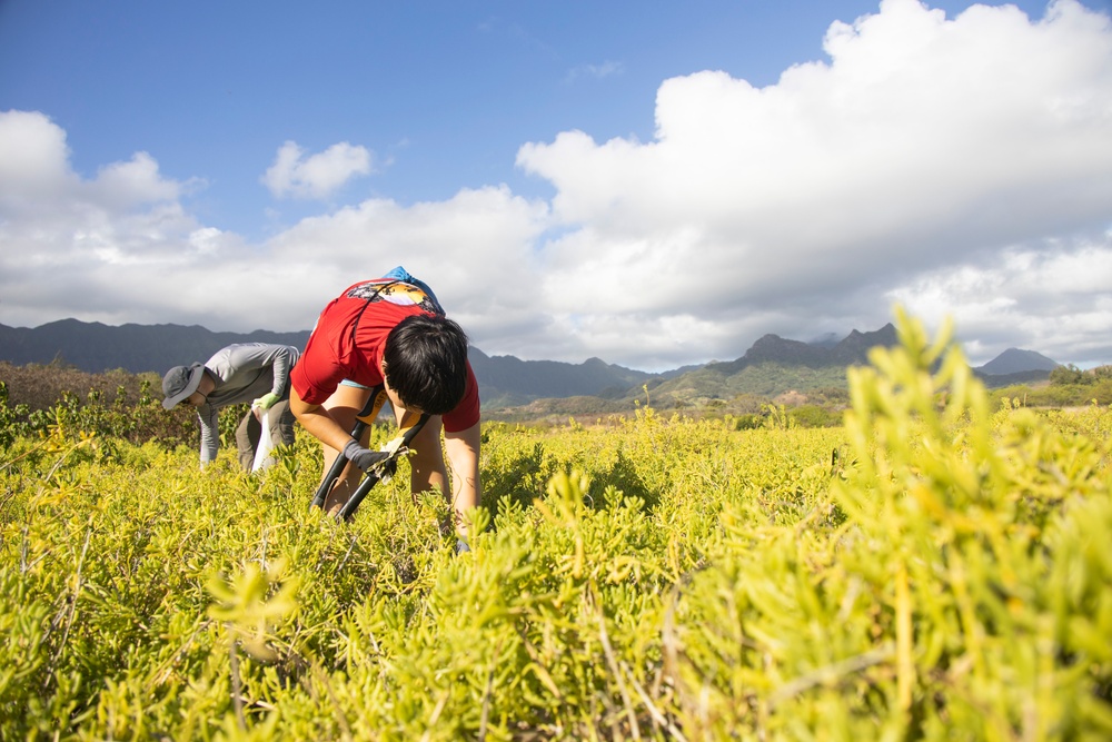 Celebrating National Public Lands Day: Volunteers participate in Puha Stream and Bellows Beach cleanup.