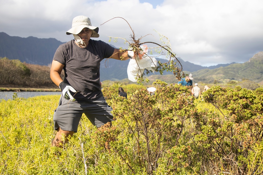 Celebrating National Public Lands Day: Volunteers participate in Puha Stream and Bellows Beach cleanup.