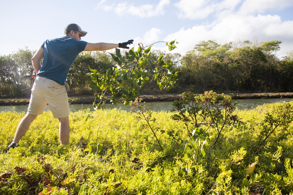 Celebrating National Public Lands Day: Volunteers participate in Puha Stream and Bellows Beach cleanup.