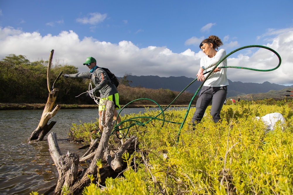 Celebrating National Public Lands Day: Volunteers participate in Puha Stream and Bellows Beach cleanup.