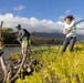 Celebrating National Public Lands Day: Volunteers participate in Puha Stream and Bellows Beach cleanup.