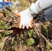 Celebrating National Public Lands Day: Volunteers participate in Puha Stream and Bellows Beach cleanup.