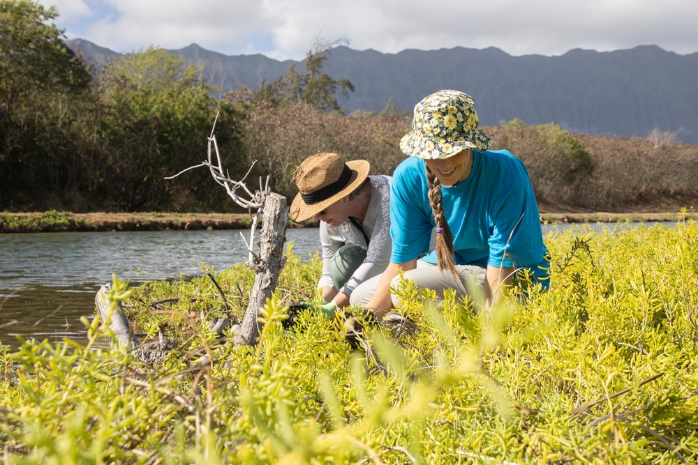 Celebrating National Public Lands Day: Volunteers participate in Puha Stream and Bellows Beach cleanup.