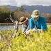 Celebrating National Public Lands Day: Volunteers participate in Puha Stream and Bellows Beach cleanup.