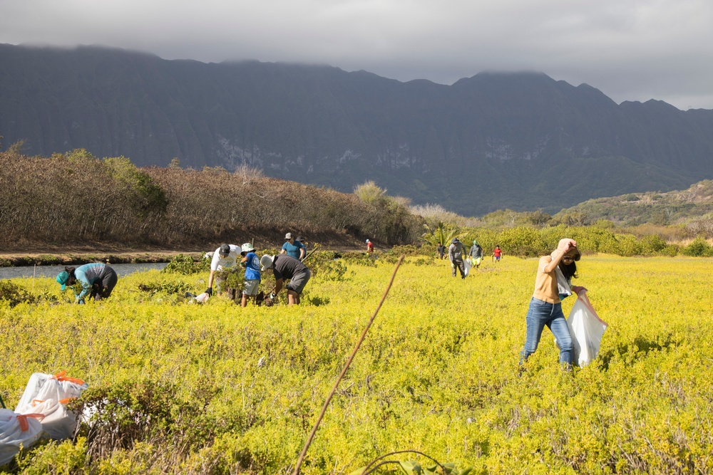 Celebrating National Public Lands Day: Volunteers participate in Puha Stream and Bellows Beach cleanup.