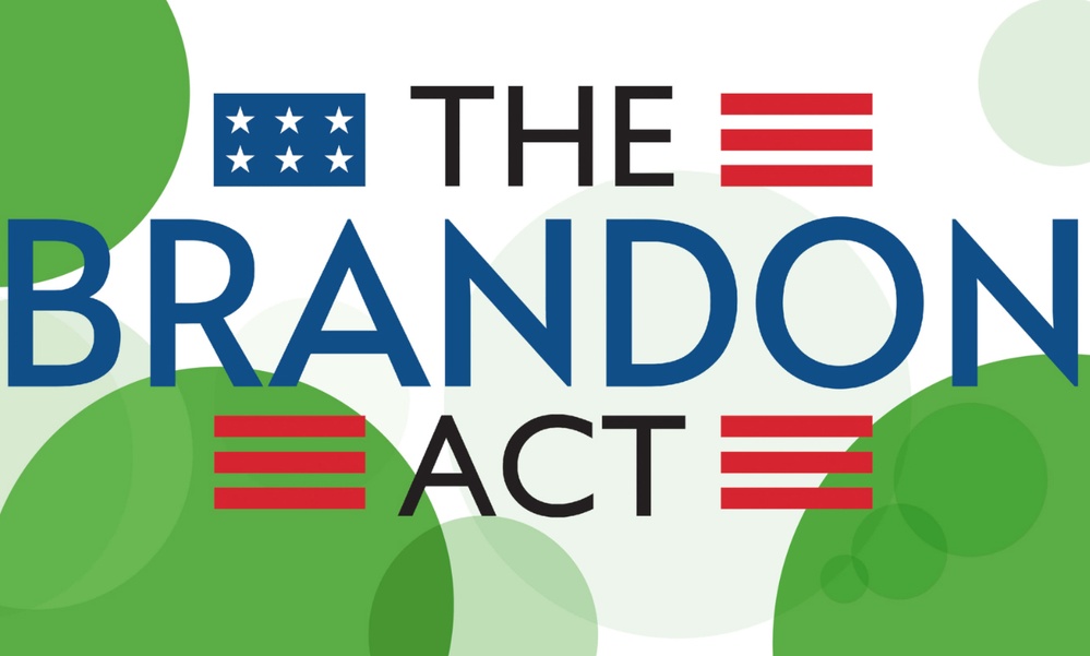 U.S. Military Departments Implement Brandon Act to Improve Mental Health Support