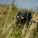 Task Force Marne and NATO allies from Poland and Latvia test their readiness during a force-on-force training exercise in Latvia