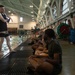 Lima Company Swim Week