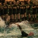 Lima Company Swim Week