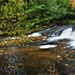 Fall colors 2023 at Trout Falls in Fort McCoy's Pine View Recreation Area