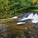 Fall colors 2023 at Trout Falls in Fort McCoy's Pine View Recreation Area