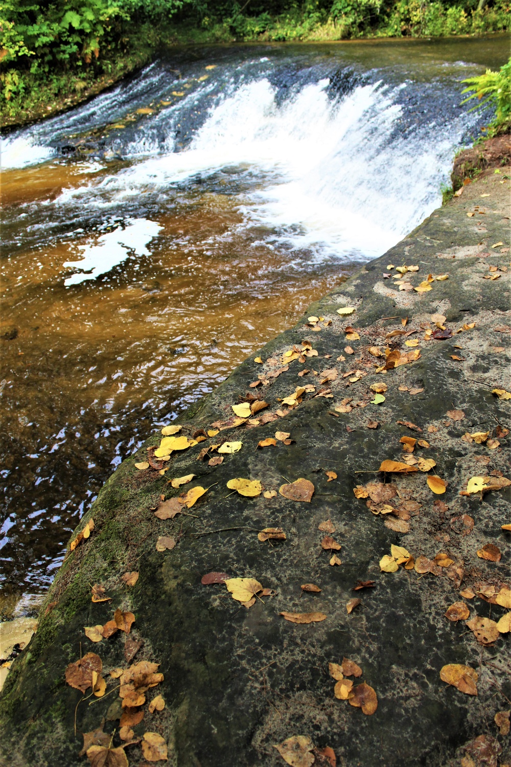 Fall colors 2023 at Trout Falls in Fort McCoy's Pine View Recreation Area