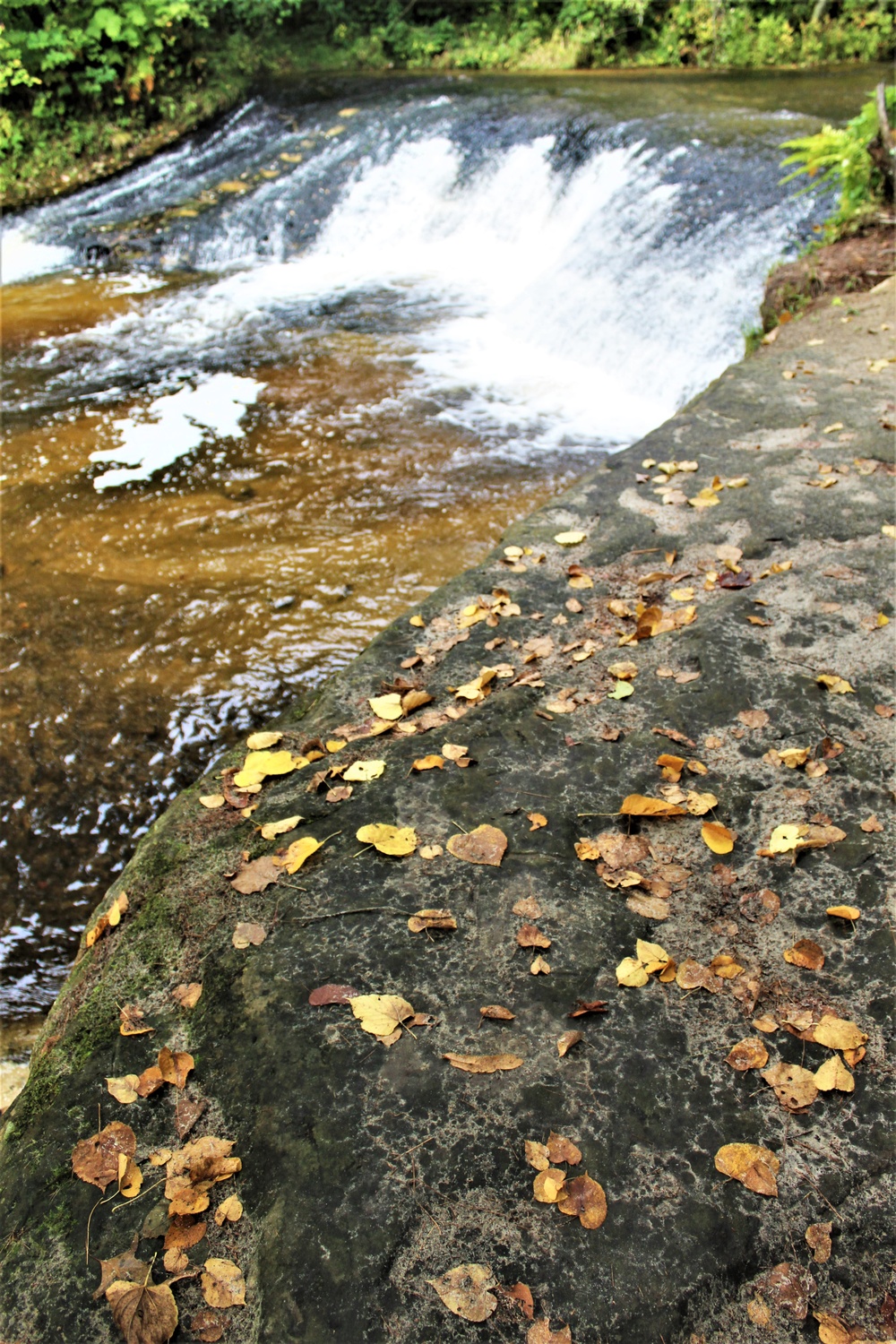 Fall colors 2023 at Trout Falls in Fort McCoy's Pine View Recreation Area