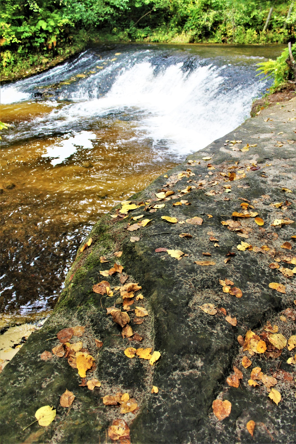 Fall colors 2023 at Trout Falls in Fort McCoy's Pine View Recreation Area