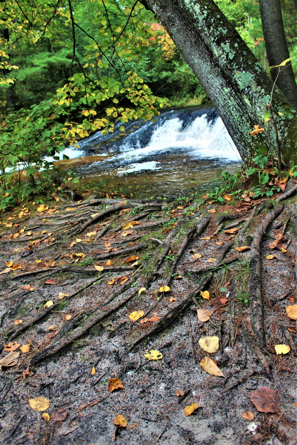 Fall colors 2023 at Trout Falls in Fort McCoy's Pine View Recreation Area