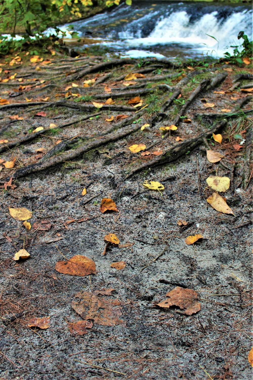 Fall colors 2023 at Trout Falls in Fort McCoy's Pine View Recreation Area