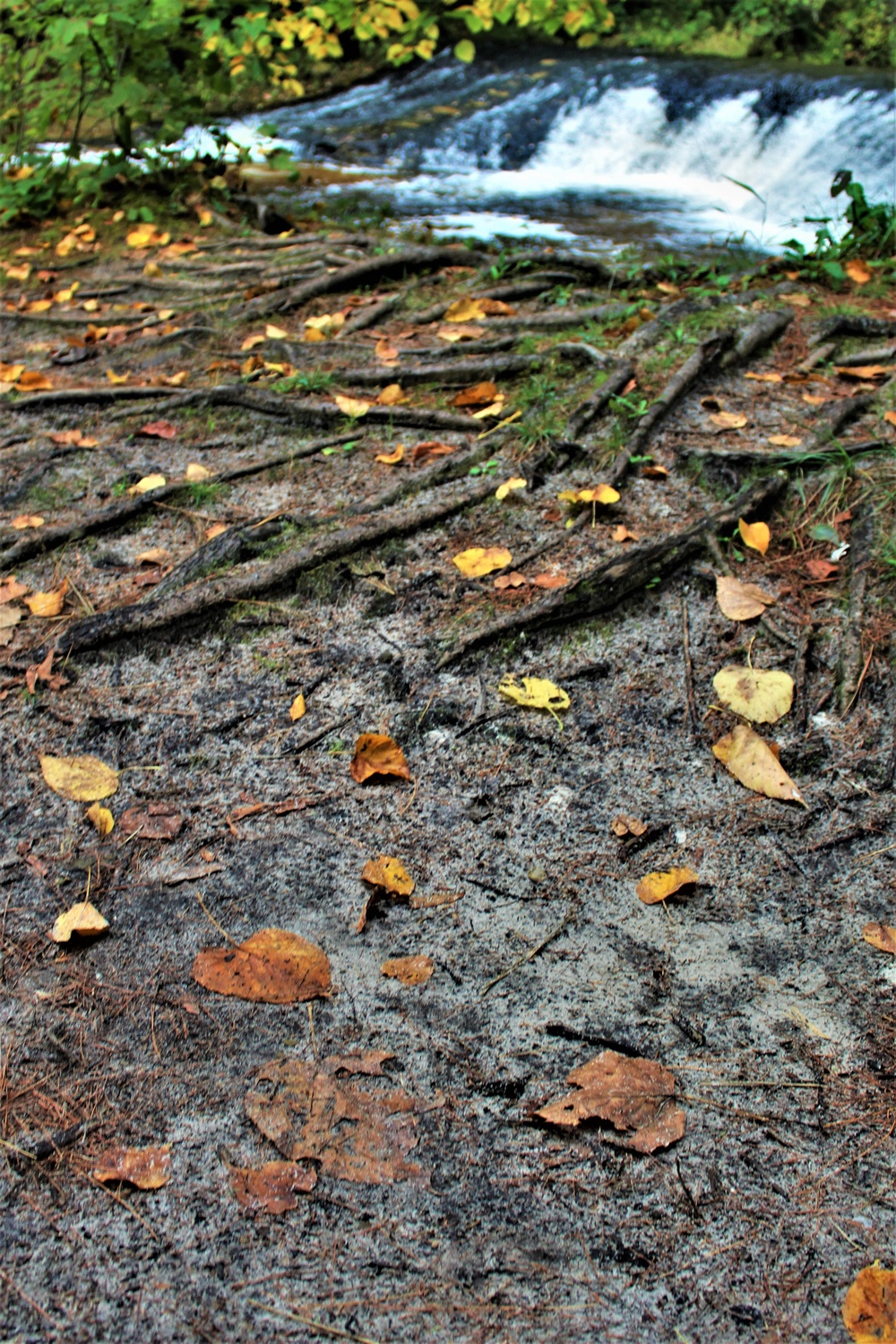 Fall colors 2023 at Trout Falls in Fort McCoy's Pine View Recreation Area