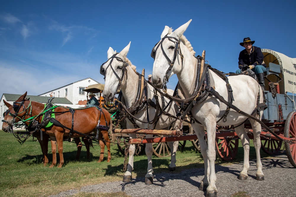 The 2023 National Cavalry Competition