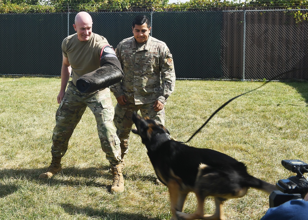 55th Security Forces Squadron MWDs on the move