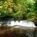 Fall colors 2023 at Trout Falls in Fort McCoy's Pine View Recreation Area