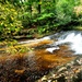 Fall colors 2023 at Trout Falls in Fort McCoy's Pine View Recreation Area