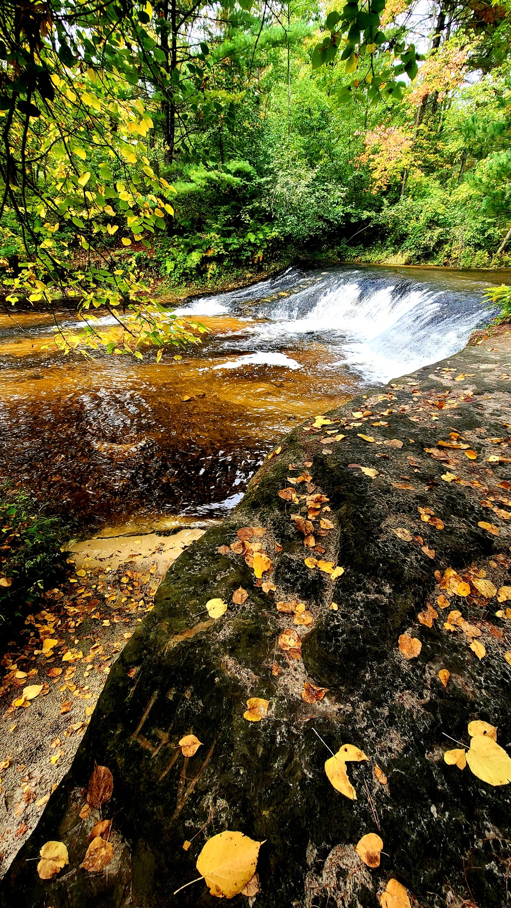 Fall colors 2023 at Trout Falls in Fort McCoy's Pine View Recreation Area