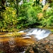 Fall colors 2023 at Trout Falls in Fort McCoy's Pine View Recreation Area