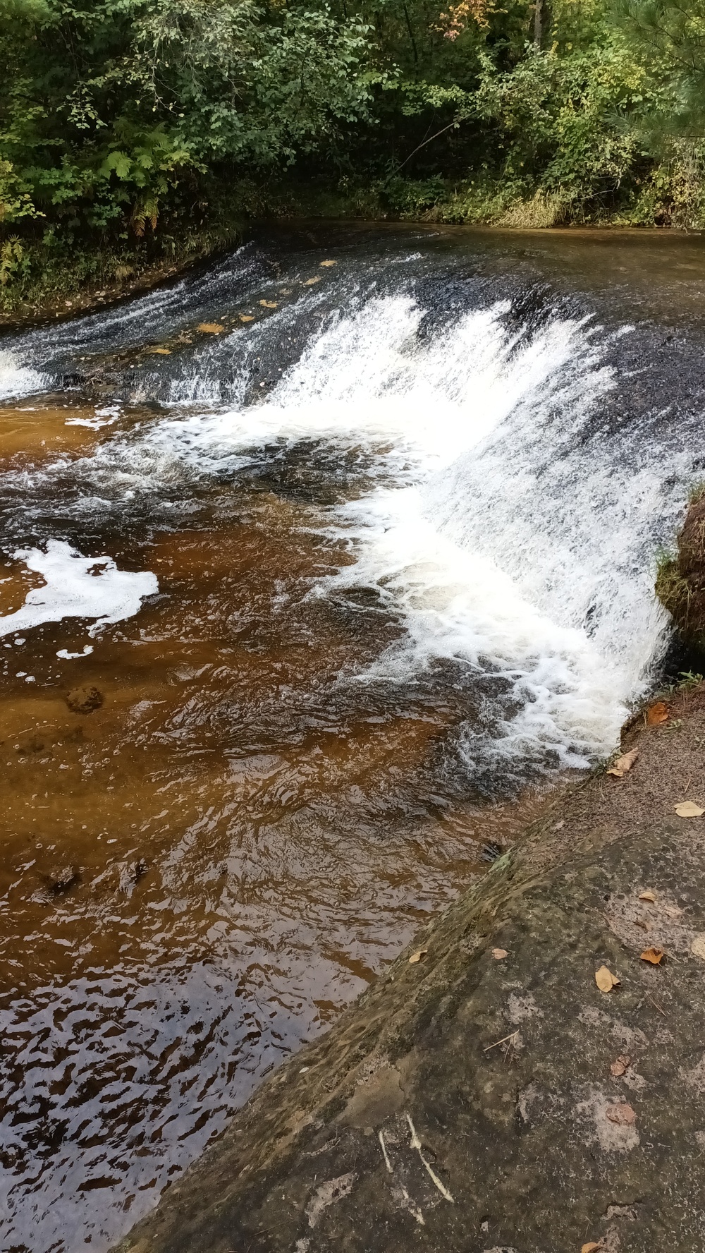 Fall colors 2023 at Trout Falls in Fort McCoy's Pine View Recreation Area