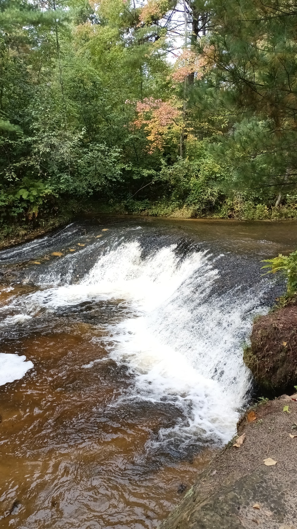 Fall colors 2023 at Trout Falls in Fort McCoy's Pine View Recreation Area