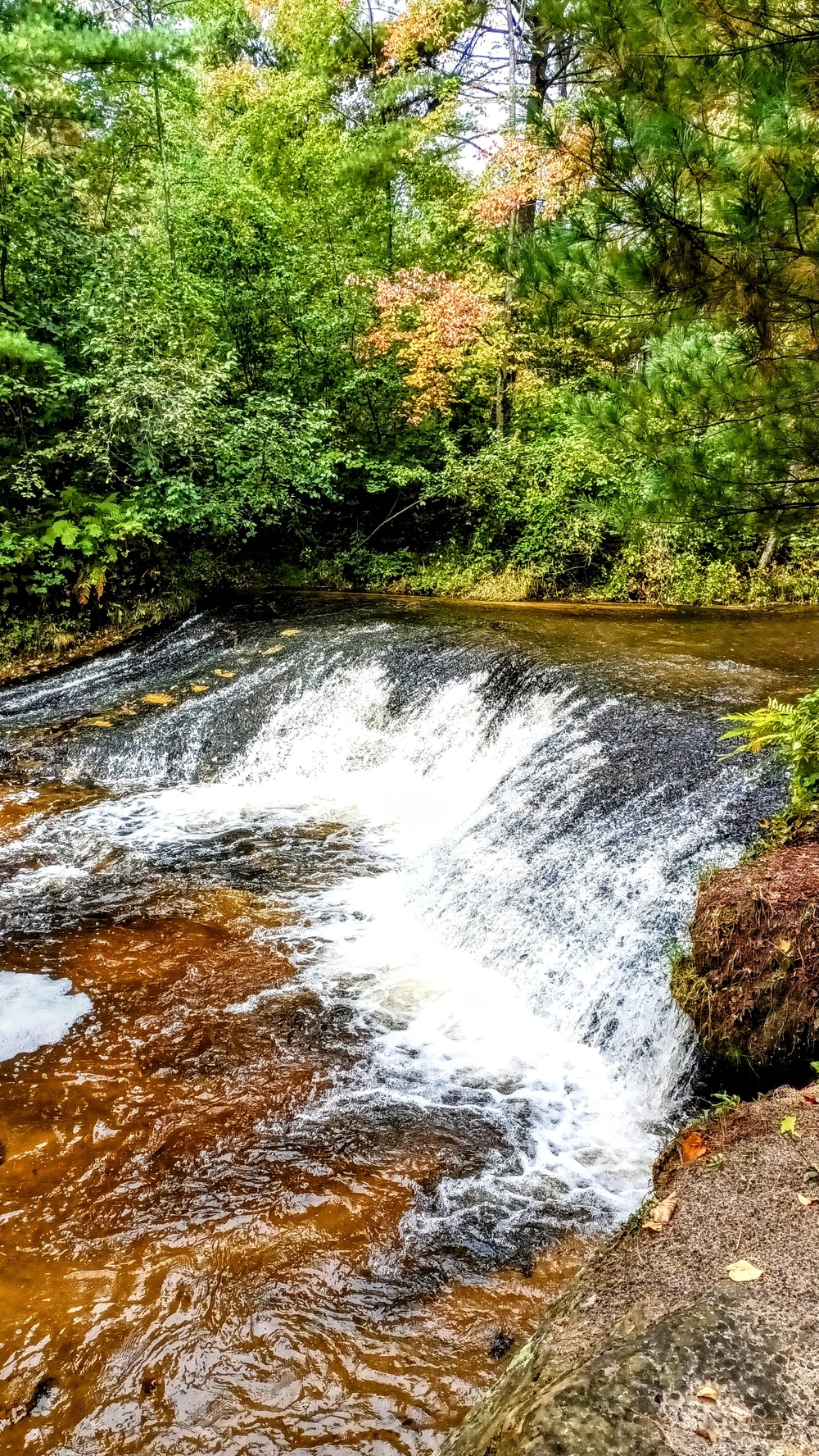 Fall colors 2023 at Trout Falls in Fort McCoy's Pine View Recreation Area