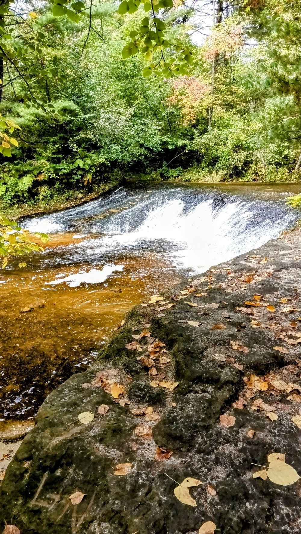 Fall colors 2023 at Trout Falls in Fort McCoy's Pine View Recreation Area