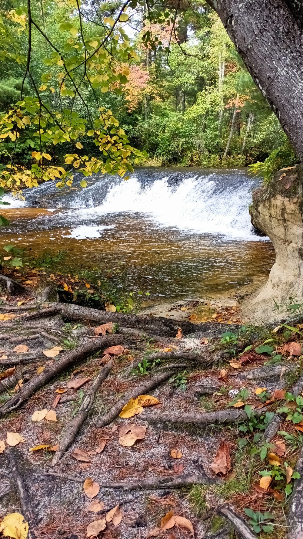 Fall colors 2023 at Trout Falls in Fort McCoy's Pine View Recreation Area