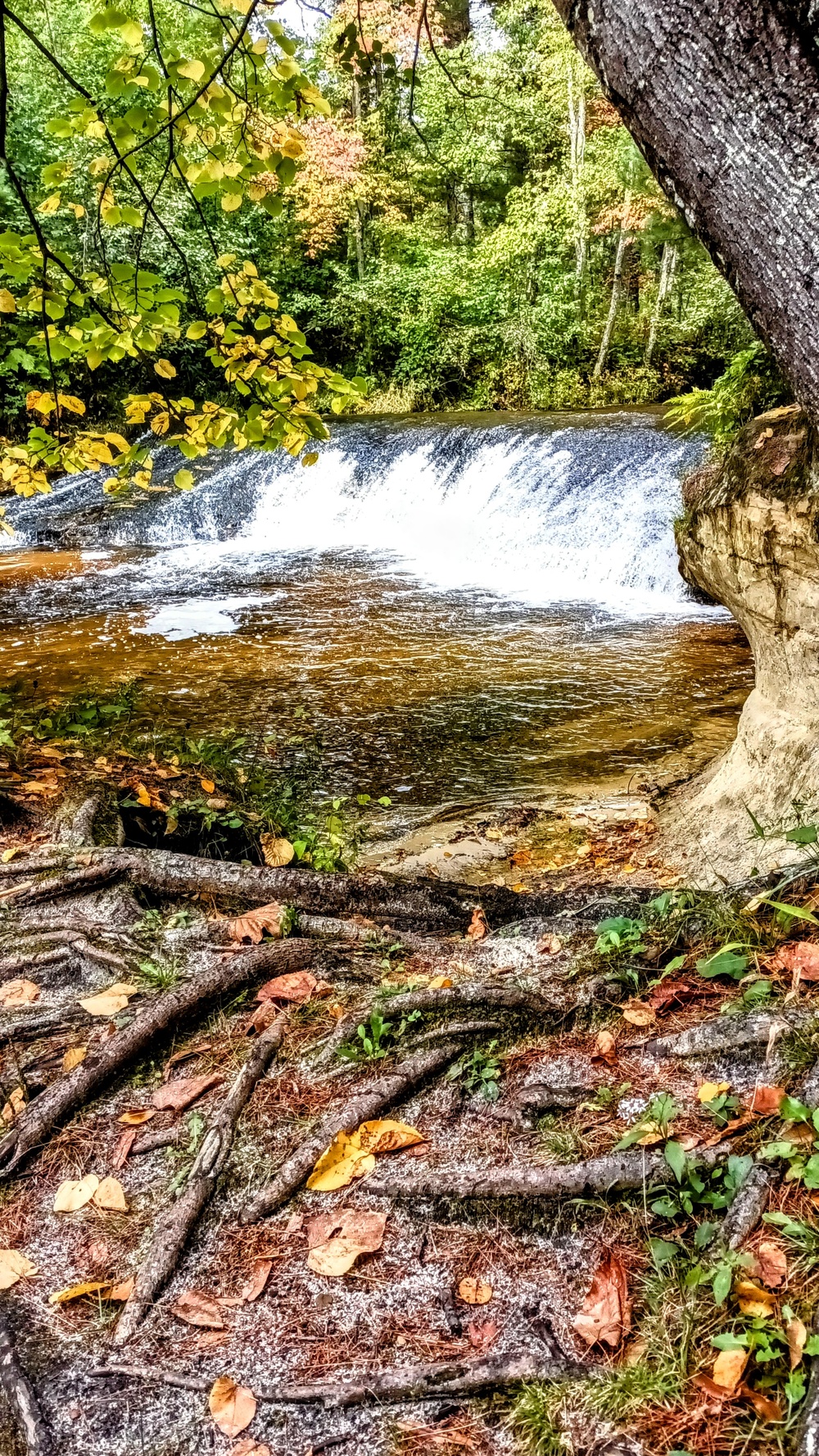 Fall colors 2023 at Trout Falls in Fort McCoy's Pine View Recreation Area