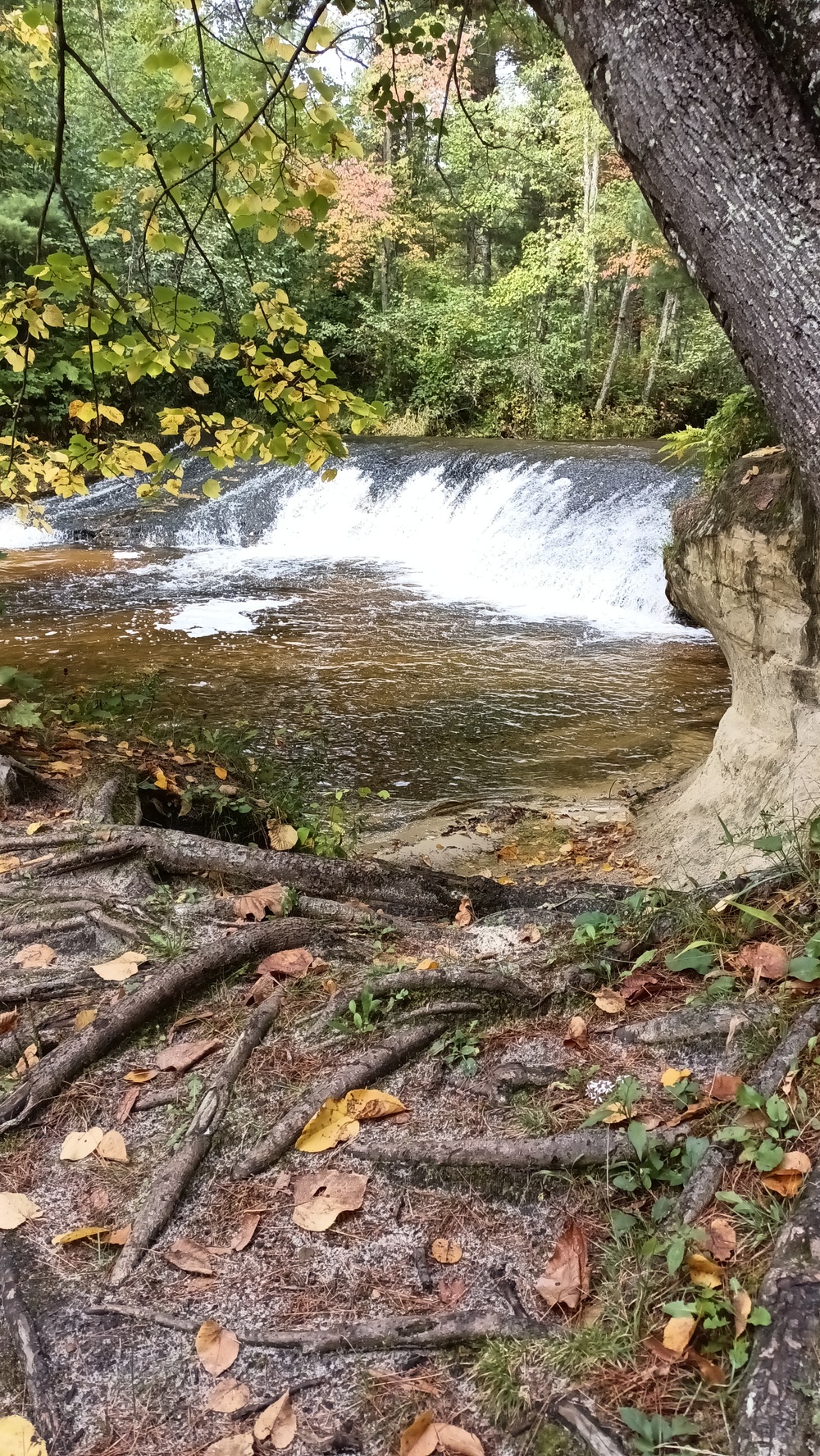 Fall colors 2023 at Trout Falls in Fort McCoy's Pine View Recreation Area