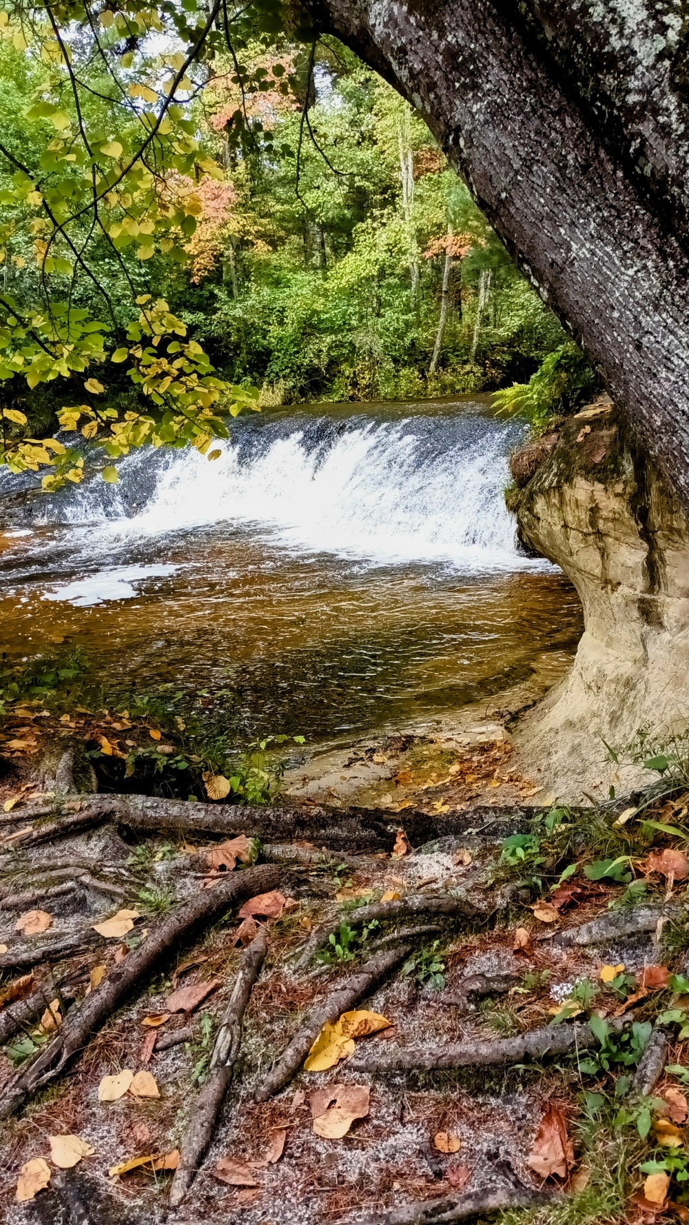 Fall colors 2023 at Trout Falls in Fort McCoy's Pine View Recreation Area