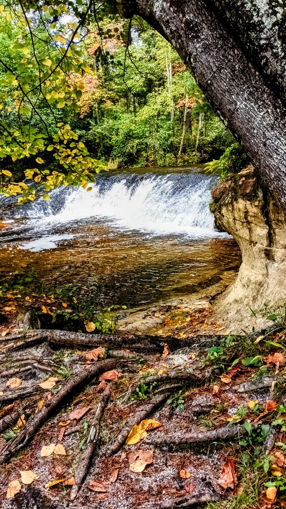 Fall colors 2023 at Trout Falls in Fort McCoy's Pine View Recreation Area